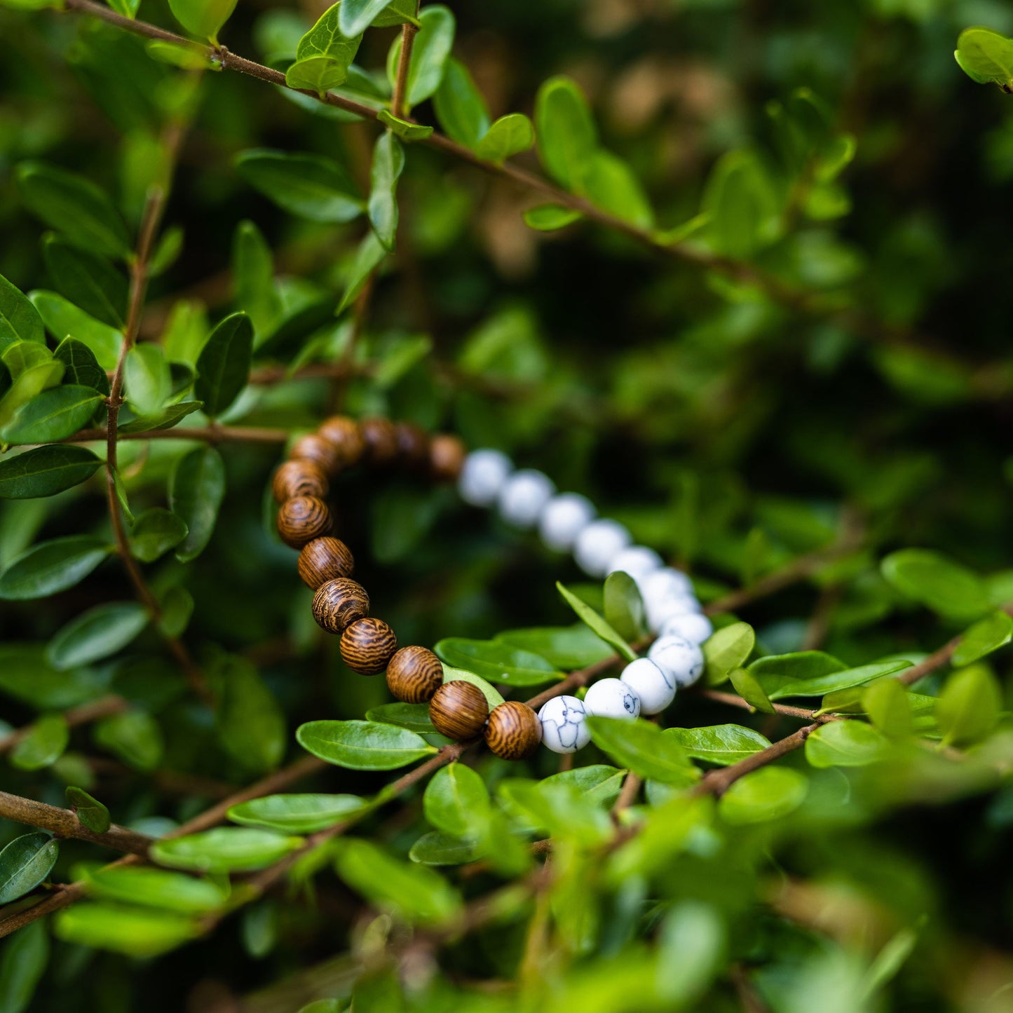 MORGNTAU Zedernholz Armband