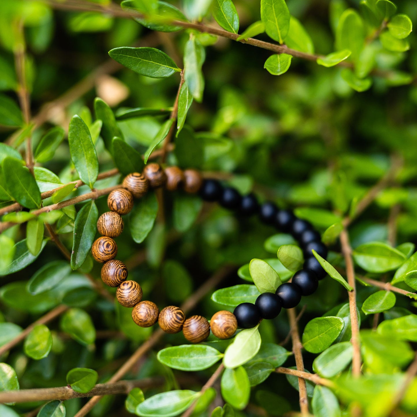 MORGNTAU Zedernholz Armband