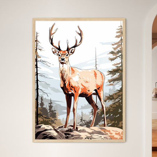 Beautiful Deer - A Deer Standing On A Rock In The Woods