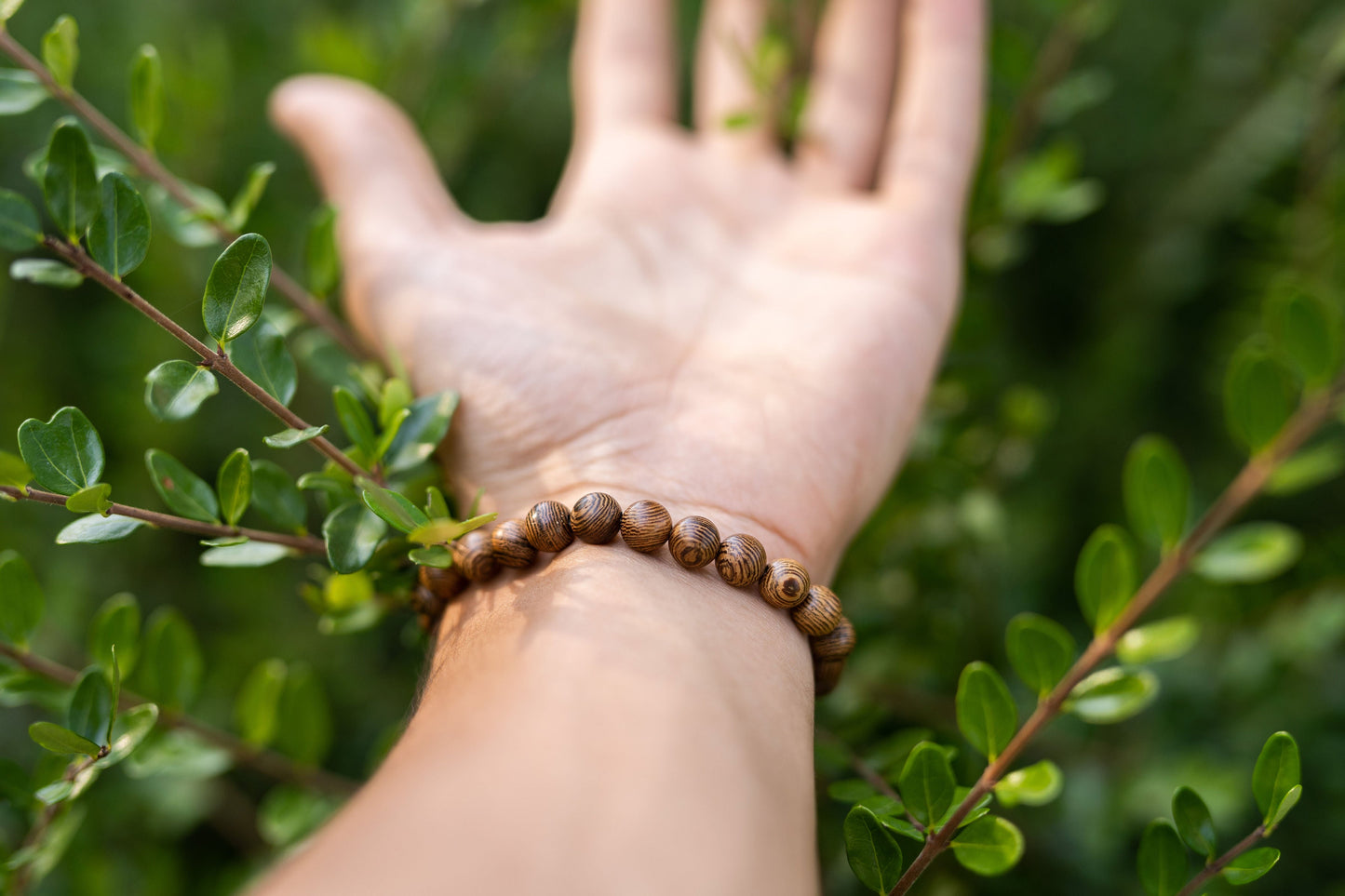 MORGNTAU Zedernholz Armband