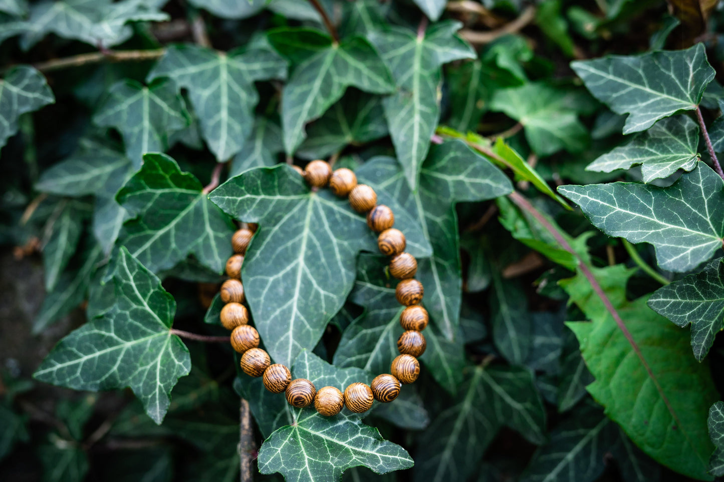 MORGNTAU Zedernholz Armband