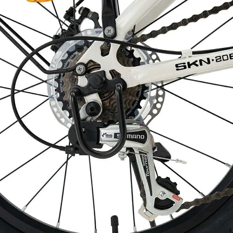 SKN - 20 Zoll - Klapprad